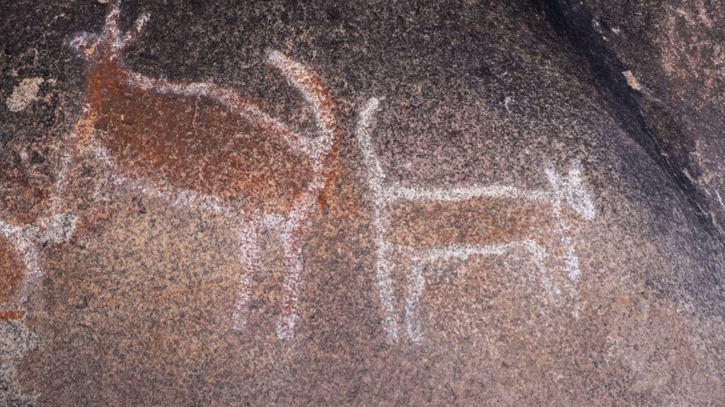 Kapish delivers for the Yoorrook Justice Commission